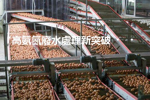 “高氨氮廢水處理新突破，綠色環(huán)保技術(shù)助力高效凈化”